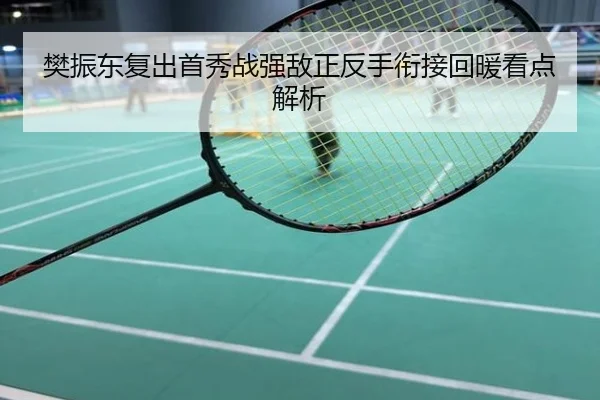 樊振东复出首秀战强敌正反手衔接回暖看点解析