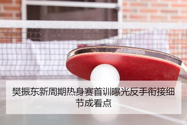 樊振东新周期热身赛首训曝光反手衔接细节成看点